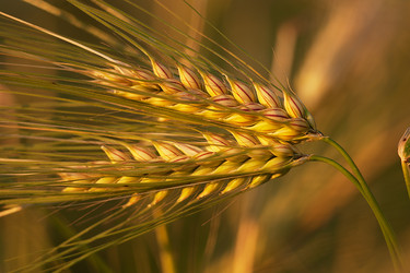 Similar image 2896126