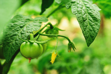 Similar image 2896130