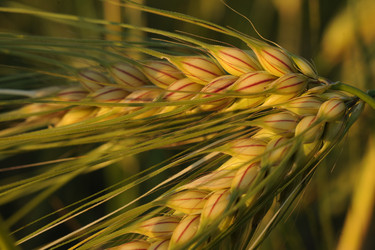 Similar image 2896134