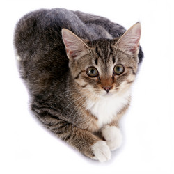 Similar image 2896177