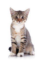 Similar image 2896192