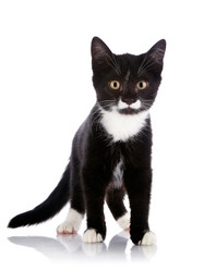 Similar image 2896194