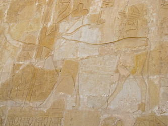 Similar image 2896254