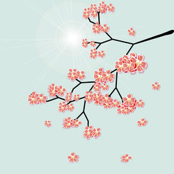 Similar image 2896304