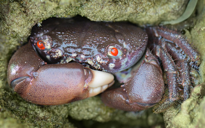 Similar image 2896332