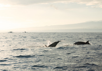 Similar image 2896372