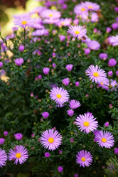 Similar image 2896515