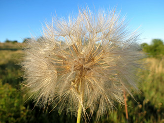 Similar image 2896887