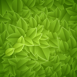 Similar image 2896903