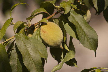 Similar image 2896905