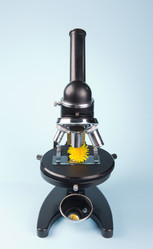 Similar image 2896957