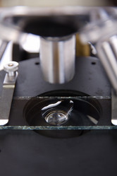 Similar image 2896962