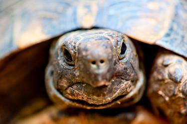 Similar image 2896981