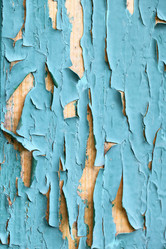 Similar image 2897049