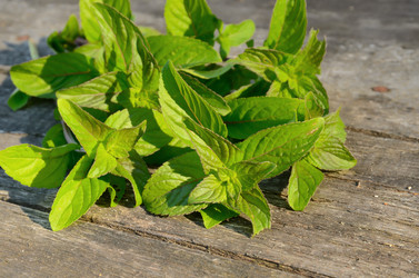 Similar image 2897070