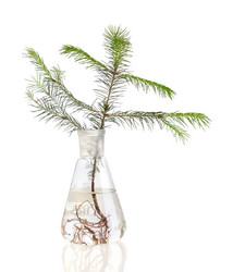 Similar image 2897076