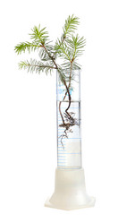 Similar image 2897078