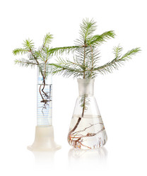 Similar image 2897080