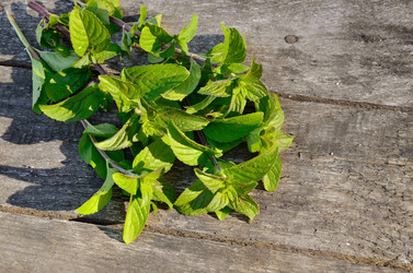 Similar image 2897083