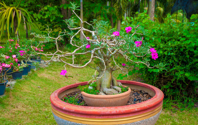 Similar image 2897279