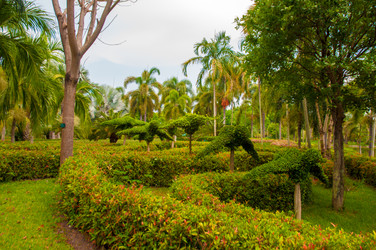 Similar image 2897284