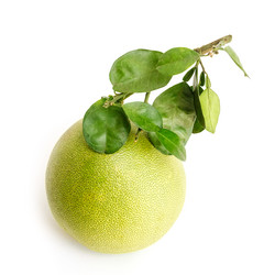 Similar image 2897369