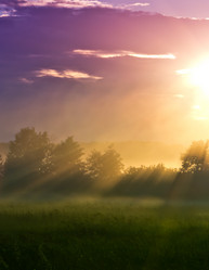 Similar image 2897598