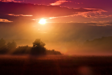 Similar image 2897600