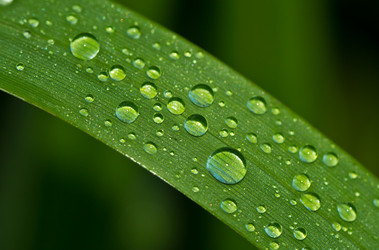 Similar image 2897601