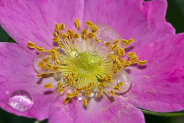 Similar image 2897602