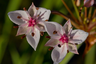 Similar image 2897603