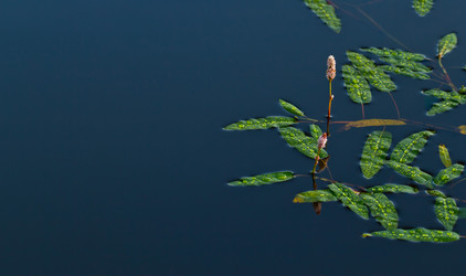 Similar image 2897605