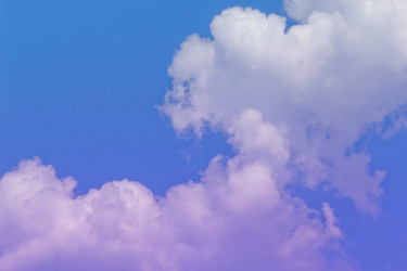 Similar image 2897607