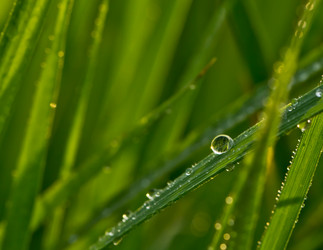 Similar image 2897609