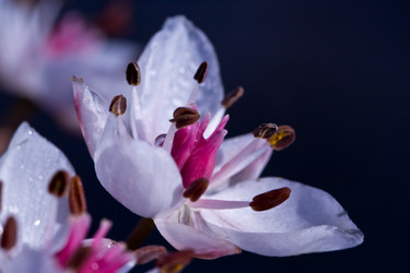 Similar image 2897610