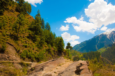 Similar image 2897664