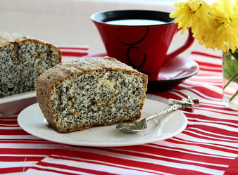 Similar image 2897674