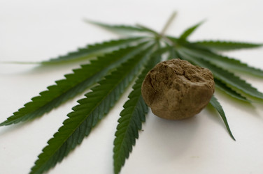 Similar image 2897683