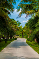 Similar image 2897697