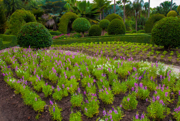 Similar image 2897699