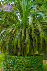 Similar image 2897708