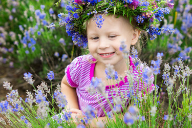 Similar image 2897734