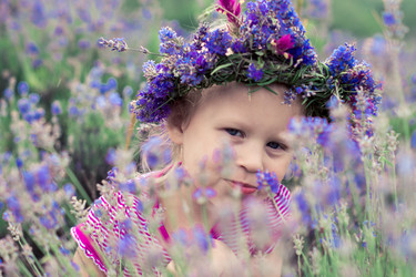 Similar image 2897735