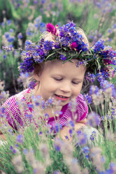 Similar image 2897736