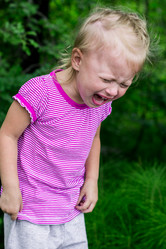 Similar image 2897743