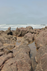 Similar image 2897754