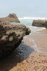 Similar image 2897756