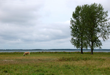 Similar image 2897763