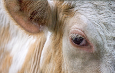 Similar image 2897776