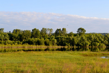 Similar image 2897830